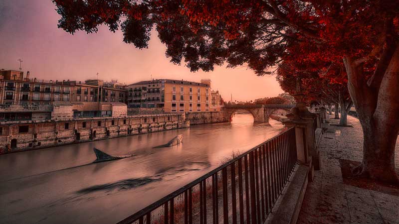 Otoño en Murcia: Eventos, Ferias y Festivales que no te puedes perder