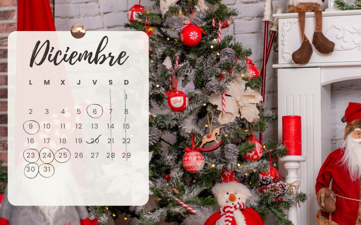 Horario de Navidad en Rosa & Porta